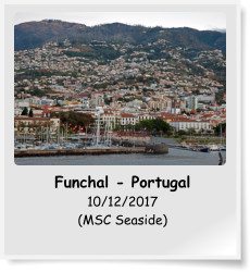 Funchal - Portugal 10/12/2017 (MSC Seaside)