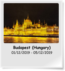 Budapest (Hungary) 01/12/2019 - 05/12/2019